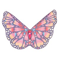Souza - Butterfly Wings